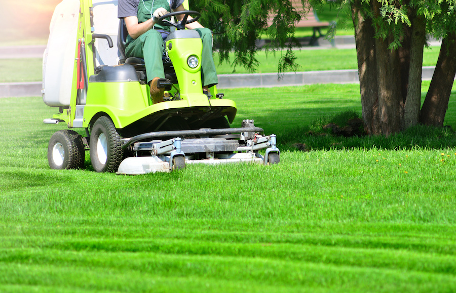 Turf Care & Handlers